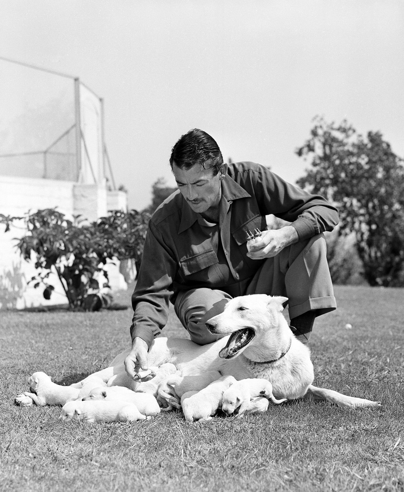 1949: Gregory Peck